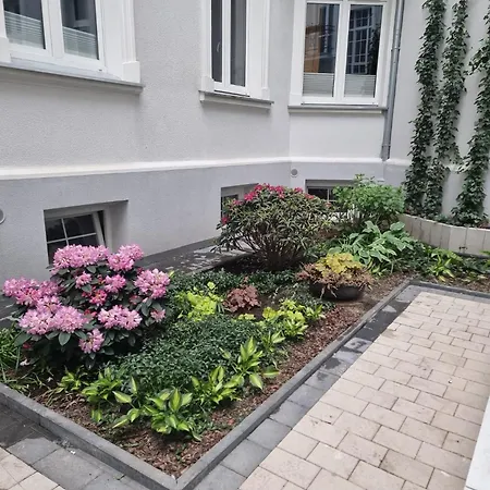 Boogie Papillon 12 *