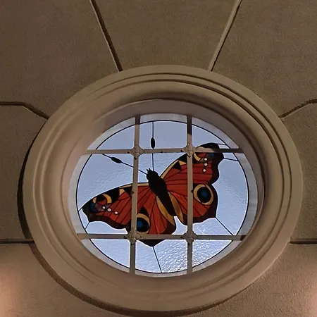 Boogie Papillon 12 Apartamento