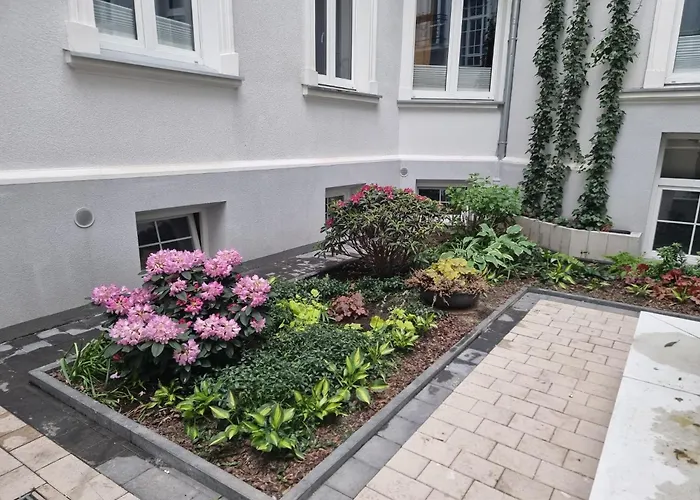 Boogie Papillon 12 *